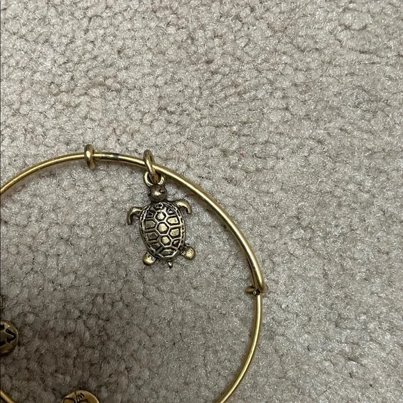 14 Alex and Ani assortment Stack of Mixed Metal Charm Bangle Bracelets - Picture 12 of 15